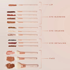 Ultimate Brush Roll ColourPop Makeup Brush Kit showcasing cream-handled, rose-gold brushes with makeup swatches arranged in rows - lip, eye blending, eye shading, eye detailing, and face - on a peach backdrop with labeled guides.