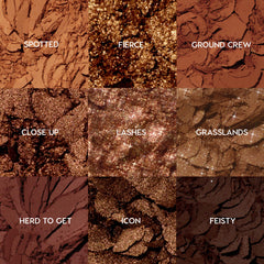 Tone Up ColourPop Shadow Palette set displays nine crushed warm-brown shades - Spotted, Fierce, Ground Crew, Close Up, Lashes, Grasslands, Herd to Get, Icon, Feisty - arranged in a 3x3 grid, mixing matte, satin, and glitter finishes.