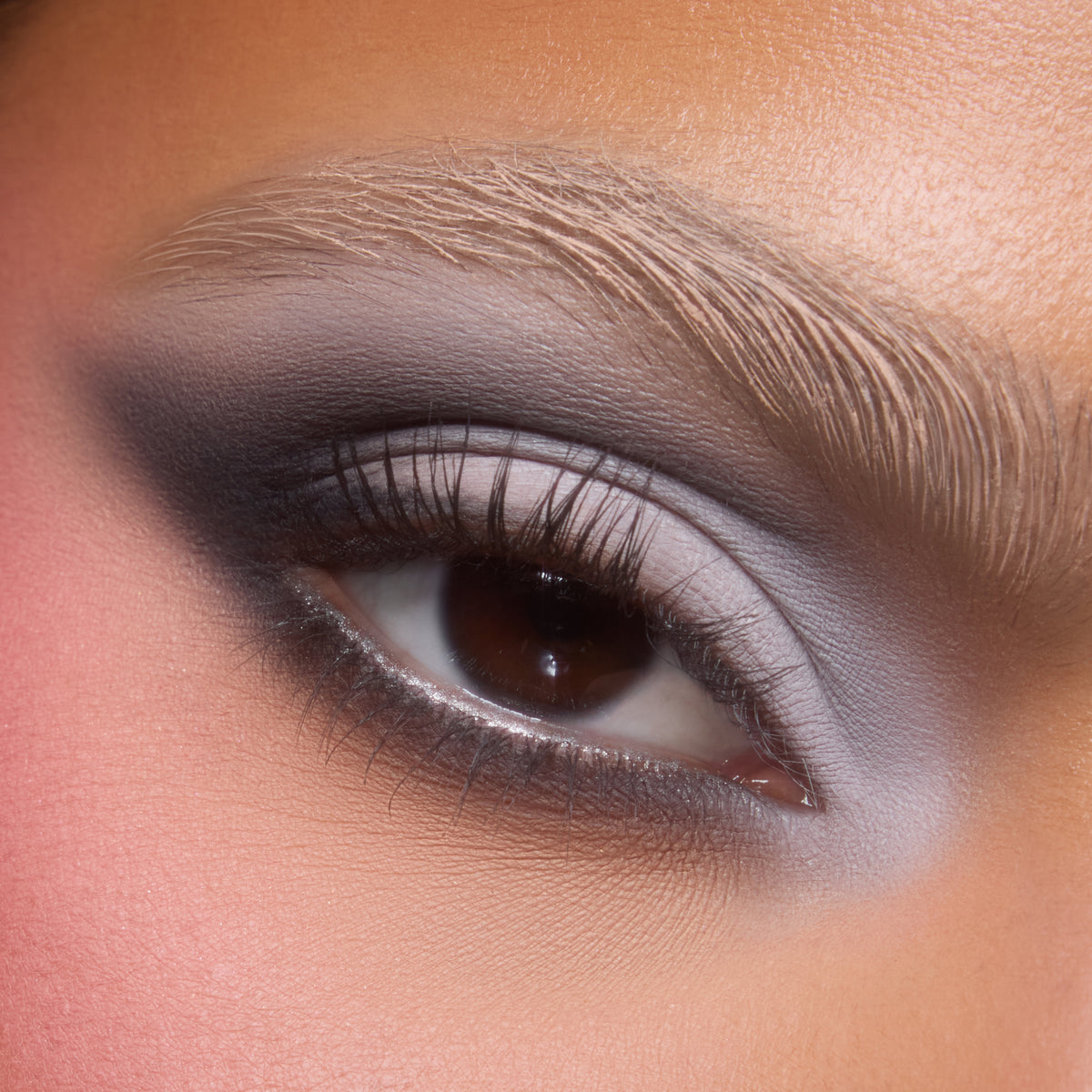 Close-up of a medium-skin eye with smoky grey and black shadow from the Silver Lining palette